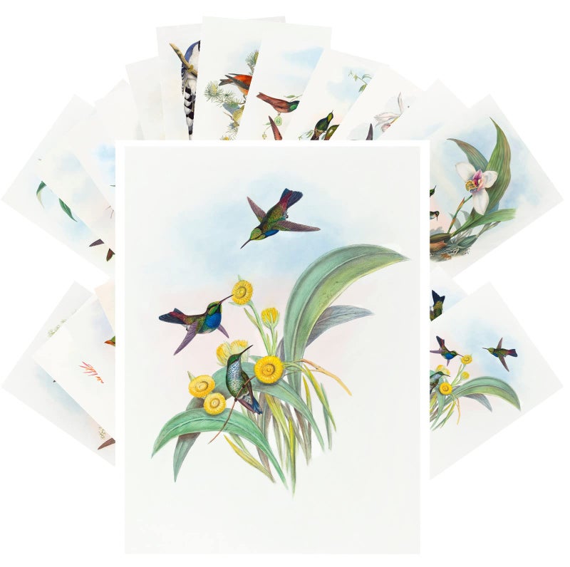 PIXILUV Vintage PostCards 24 pcs Amazing Birds Edwardian Vintage Illustrations - Image 1